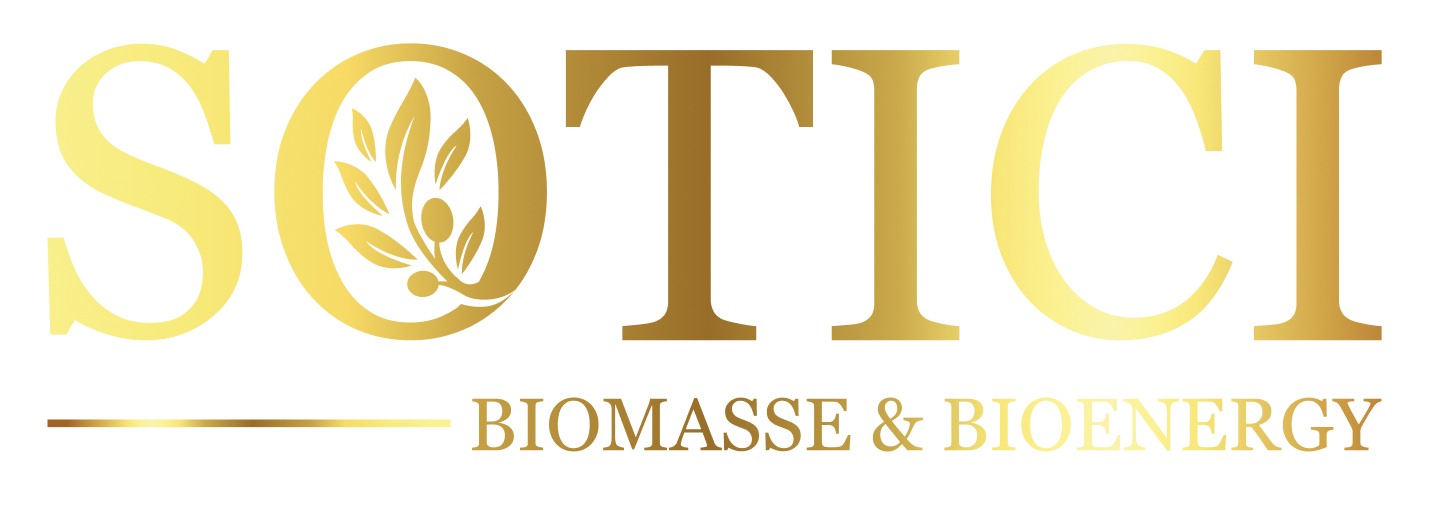 logo sotici